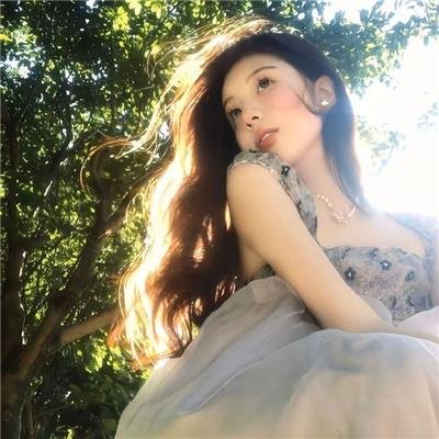 谢尔沙封面