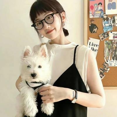 楚留香大结局封面